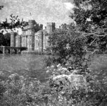 52961692477_6fa97928a4_c.jpg 52961692477_6fa97928a4_c.jpg