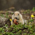 P1022487.jpg P1022487.jpg