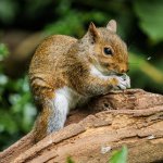 P1023952.jpg P1023952.jpg