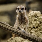 P1022479.jpg P1022479.jpg