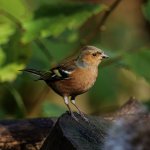 P1038910.jpg P1038910.jpg