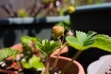 DSC02567.jpg DSC02567.jpg