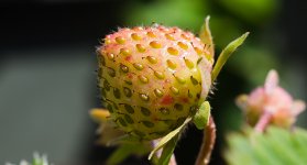 1-DSC02567.jpg 1-DSC02567.jpg