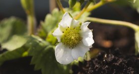 DSC02560-C.jpg DSC02560-C.jpg