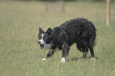 _7824315.jpg _7824315.jpg