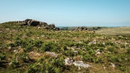 006 Legis Tor 01-6577 PS Adj.JPG 006 Legis Tor 01-6577 PS Adj.JPG