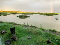 IMG_3969.jpeg IMG_3969.jpeg