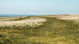 023 Ringmoor Daown 01-6603 PS Adj upload.JPG 023 Ringmoor Daown 01-6603 PS Adj upload.JPG