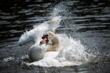 DO01160745.JPG DO01160745.JPG