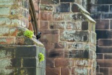 DO01160819 2.JPG DO01160819 2.JPG