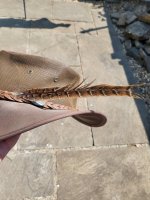 20230616_104943.jpg 20230616_104943.jpg