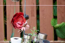 DSC_0013.jpg DSC_0013.jpg