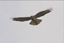 Screenshot 2023-06-21 at 15.24.44.jpg