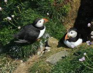 20230623_160401.jpg 20230623_160401.jpg