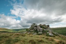 005 Tristis Rock 01-1636 PS Adj.JPG 005 Tristis Rock 01-1636 PS Adj.JPG