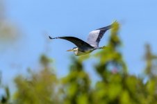 DSC_3146.jpg DSC_3146.jpg