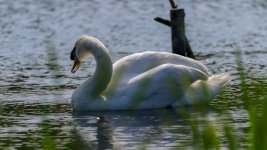 DSC_3153.jpg DSC_3153.jpg