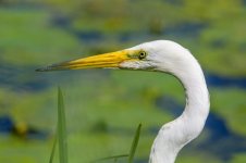 DSC_3588.jpg DSC_3588.jpg