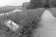 _7813225.jpg _7813225.jpg