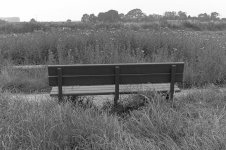 _7813219.jpg _7813219.jpg