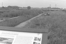 _7813216.jpg _7813216.jpg