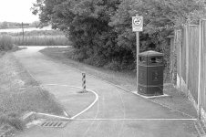 _7813191.jpg _7813191.jpg