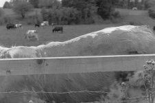 _7813205.jpg _7813205.jpg