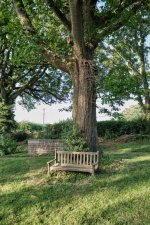 DSCF3942 (2).jpg DSCF3942 (2).jpg