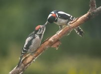 20230612-FXT44515-Edit-Edit.jpg 20230612-FXT44515-Edit-Edit.jpg