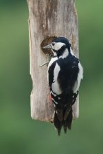 IMG_7060.jpg IMG_7060.jpg