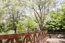 DSC02641.jpg DSC02641.jpg