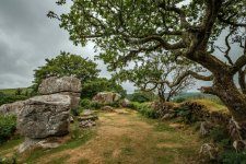 001 BBQ Area 01-1654 PS Adj.JPG 001 BBQ Area 01-1654 PS Adj.JPG