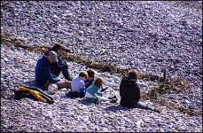 Sitting on the pebble beach Sidmouth A65 DSC00308.jpg Sitting on the pebble beach Sidmouth A65 DSC00308.jpg