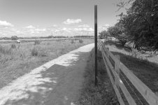 _7813323.jpg _7813323.jpg