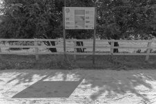 _7813268.jpg _7813268.jpg