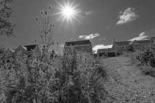 _7813312.jpg _7813312.jpg