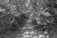 _7813253.jpg _7813253.jpg