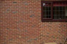 _DSC7321a.jpg _DSC7321a.jpg