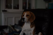 Photo 1 Original.jpg Photo 1 Original.jpg