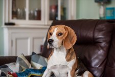 Photo 1 Edited.jpg Photo 1 Edited.jpg