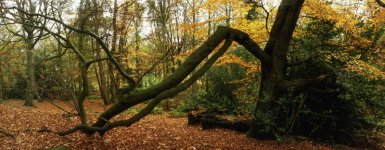 2022 Horizon 202, Vision 250D, DIY ECN2, 013.jpg 2022 Horizon 202, Vision 250D, DIY ECN2, 013.jpg