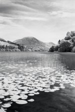 2023-5-22 Loweswater, OM10, Adox HR50, R72, HRDEV, 006.jpg