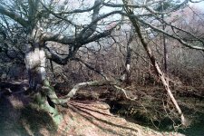 IMG_8291.jpeg IMG_8291.jpeg