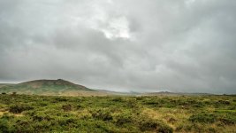 001 Brat and Doe Tors 01-6771 PS Adj.JPG 001 Brat and Doe Tors 01-6771 PS Adj.JPG