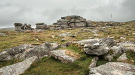 013 Doe Tor 05-6791 PS Adj.JPG 013 Doe Tor 05-6791 PS Adj.JPG