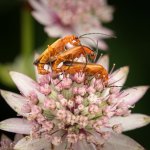 20230629-EM190074.jpg 20230629-EM190074.jpg