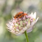 20230629-EM190004-Edit-Edit.jpg 20230629-EM190004-Edit-Edit.jpg