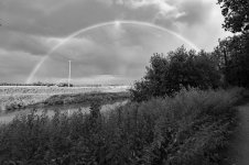 _7813385.jpg _7813385.jpg