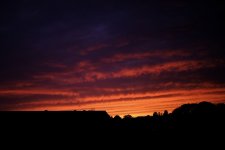 0958FA16-3BDD-4677-AE1D-C3D467F4EC59.jpeg 0958FA16-3BDD-4677-AE1D-C3D467F4EC59.jpeg