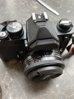 IMG_0488.jpeg IMG_0488.jpeg